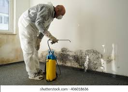 Best Black Mold Removal in White Pine, TN